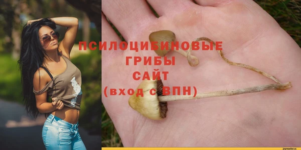 не бодяженный Дмитров