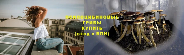 не бодяженный Дмитров