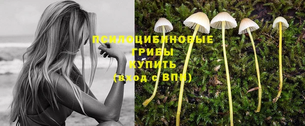 круглые Дмитриев