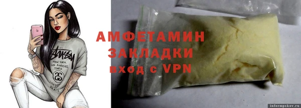 прущие грибы Няндома