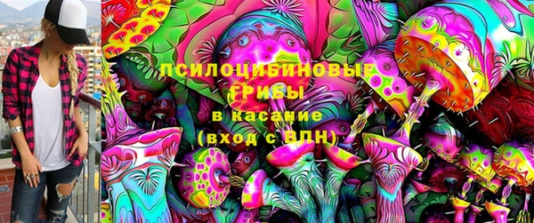 круглые Дмитриев