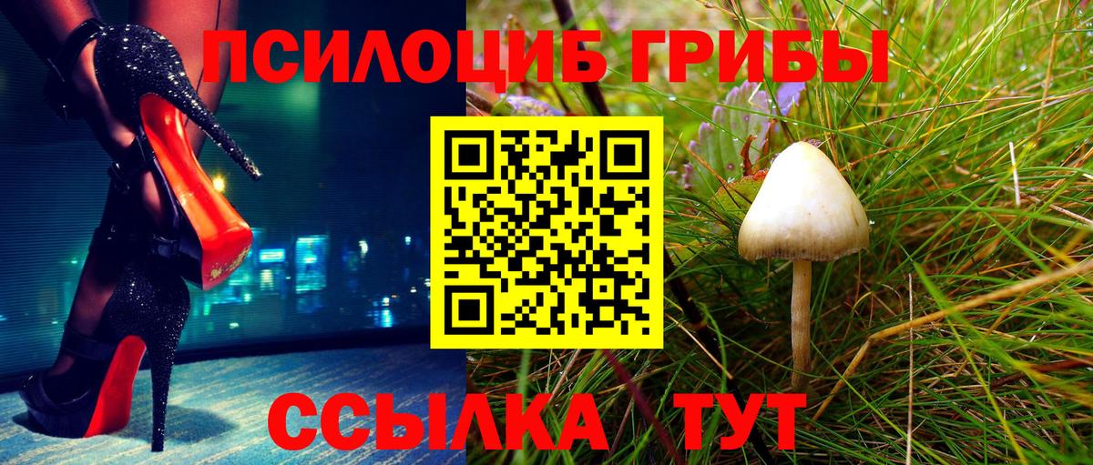 Псилоцибиновые грибы Cubensis Назарово