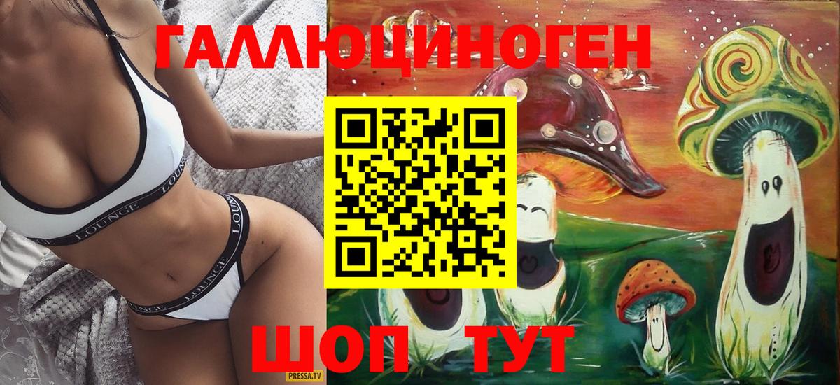 Псилоцибиновые грибы Psilocybine cubensis  Назарово 