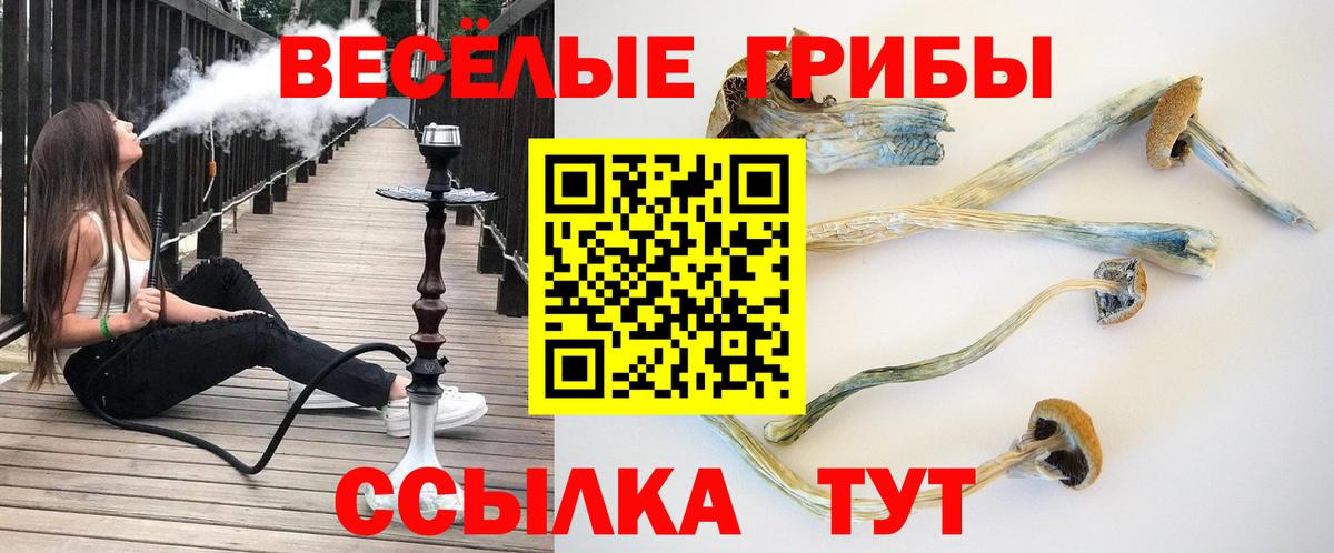 Назарово  Псилоцибиновые грибы мухоморы  Вход с VPN 
