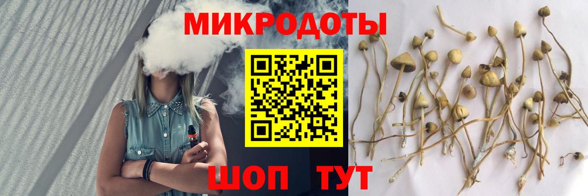 Псилоцибиновые грибы Psilocybine cubensis Назарово